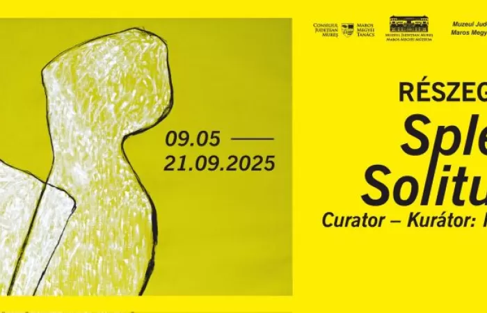 10-Splendid-Solitude-