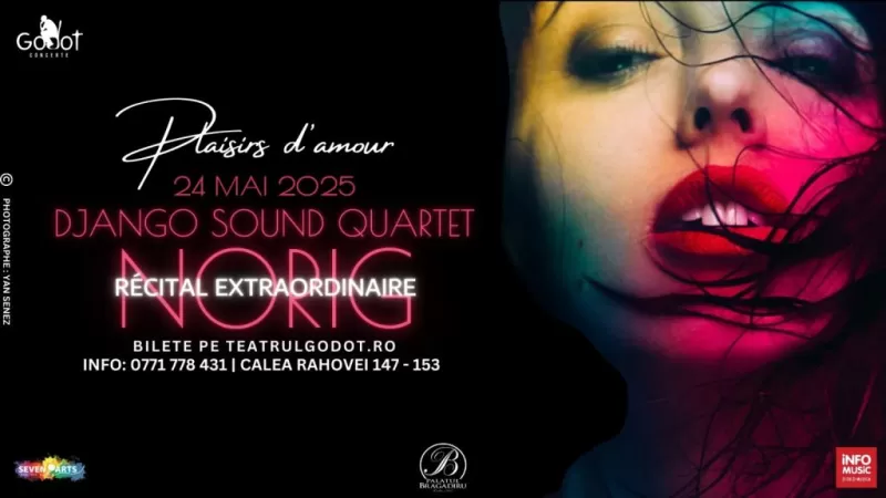 Norig & Django Sound | Plaisir d’amour -1