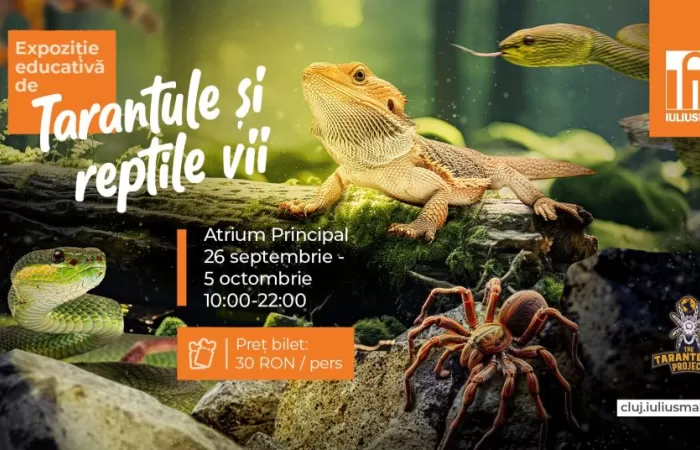 23-Expoziție-șerpi-și-tarantule-vii-