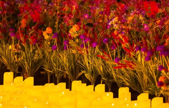 18-Candlelight--Cele-mai-bune-melodii-din-Bridgerton-pe-acorduri-de-vioara-și-violoncel-