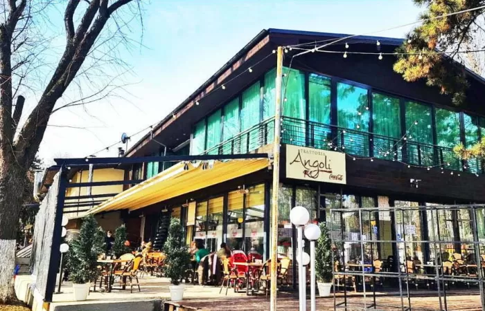 9-Anul-Nou-ca-Altadata-