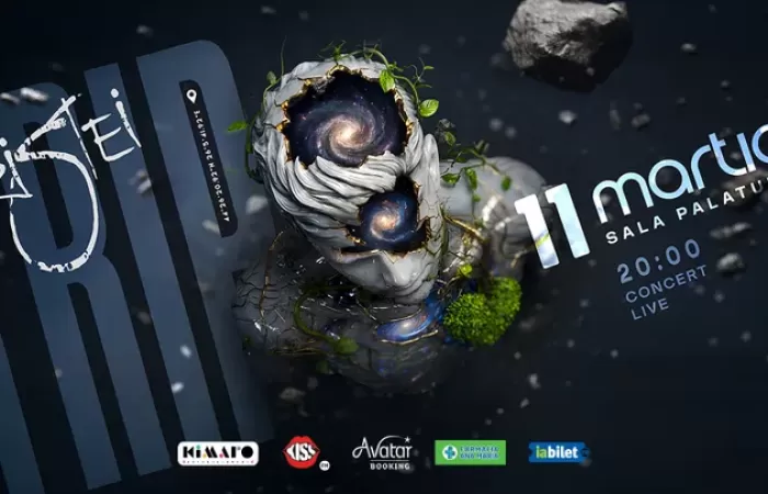 16-Concert-Florin-Ristei