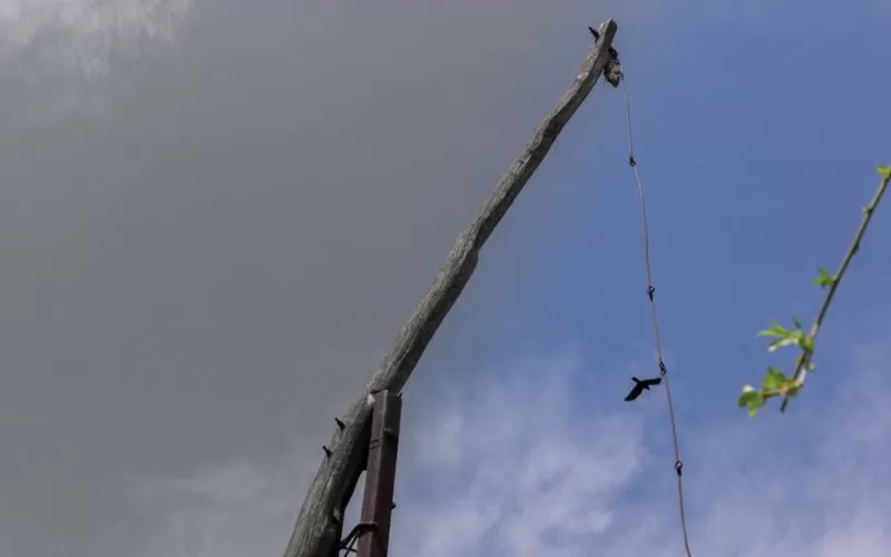 Fântânile Olteniei. Arhivă și contemporaneitate -1