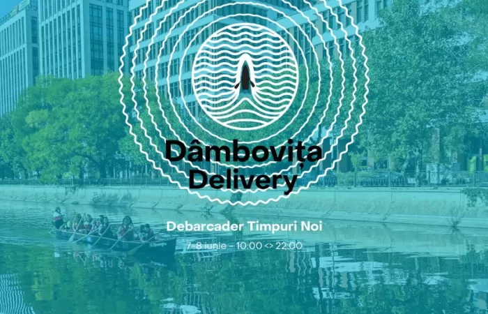 12-Dambovița-Delivery-