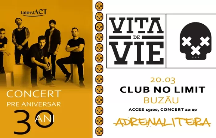 12-Buzau--Vita-de-Vie---Concert-Pre-Aniversar