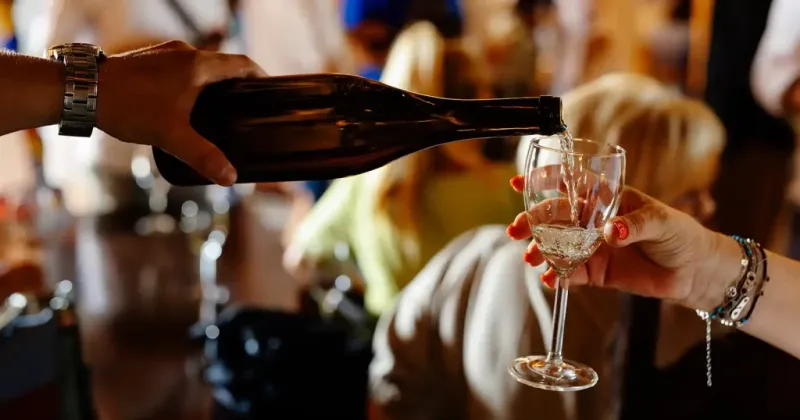 Experiențe Gramofon Wine-1
