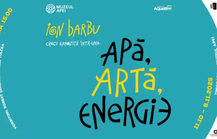 7-Ion-Barbu-–-Apa--Arta--Energie-
