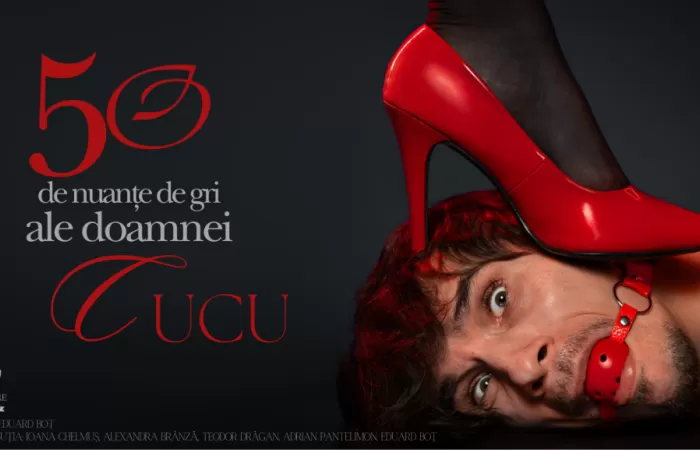 14-50-de-nuanțe-de-gri-ale-doamnei-Cucu-