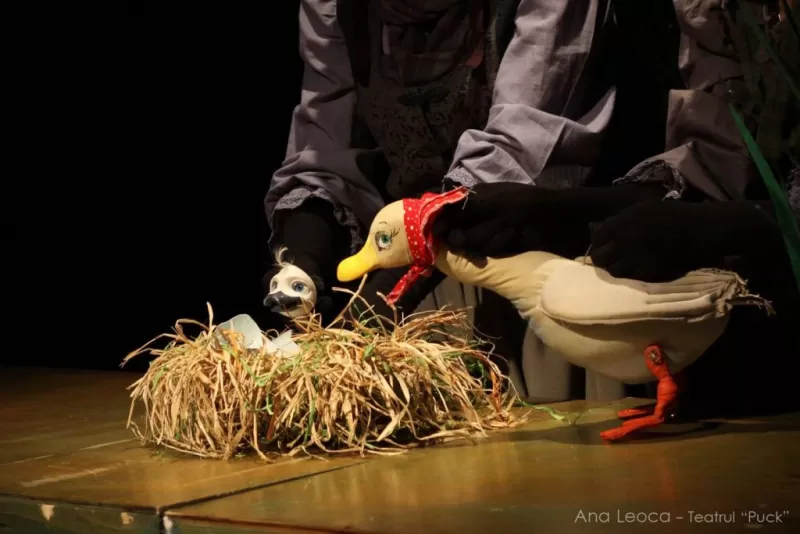 Răţuşca cea urâtă -1