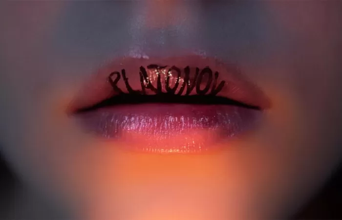 2-Platonov--adaptare-de-David-Hare-dupa-A-P--Cehov--