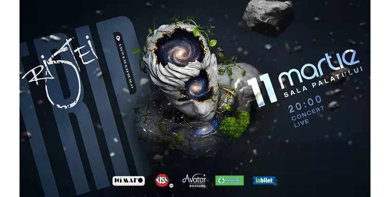 Concert Florin Ristei-1