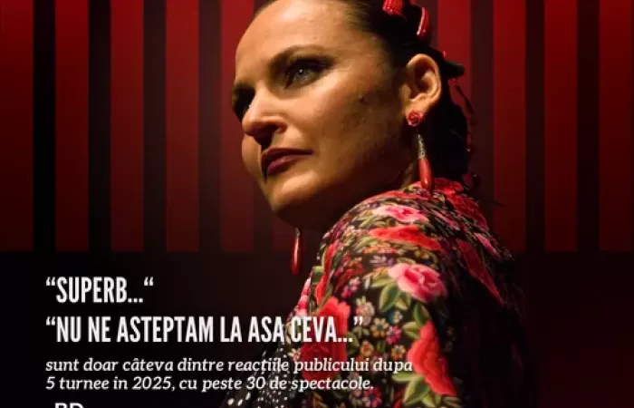 17-Timisoara--Flamenco-Weekend