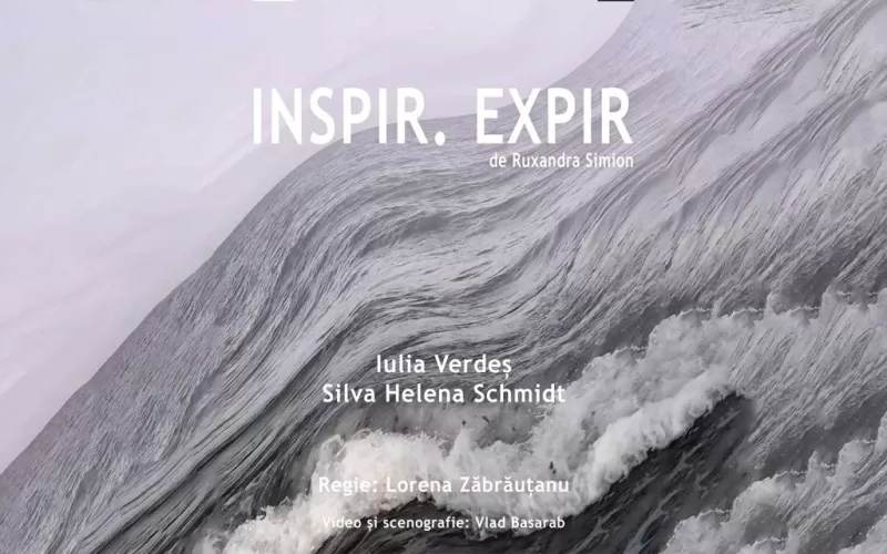 Inspir. Expir (Ruxandra Simion) -1