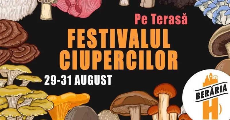 Festivalul Ciupercilor -1