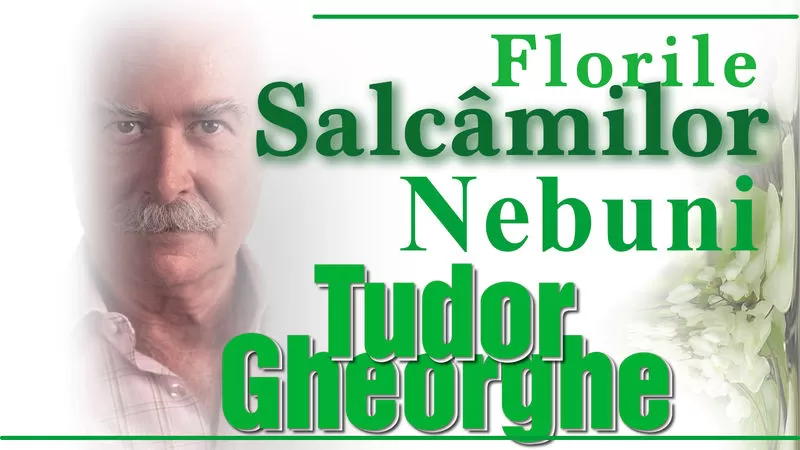 Tudor Gheorghe -1