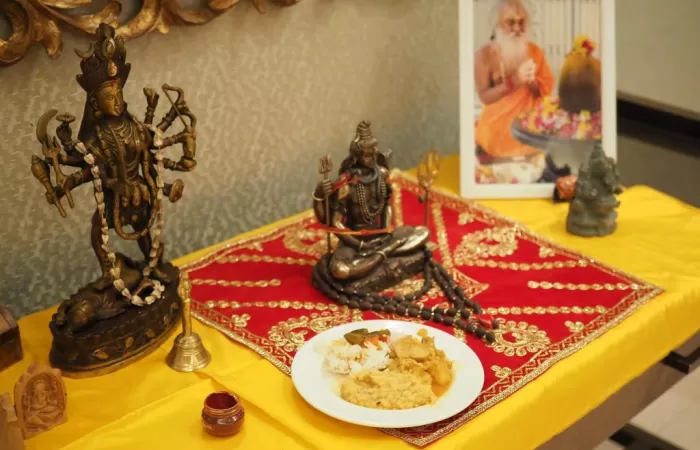 13-Seara-cu-specific-indian--kirtan--mancare-indiana--sari-uri--
