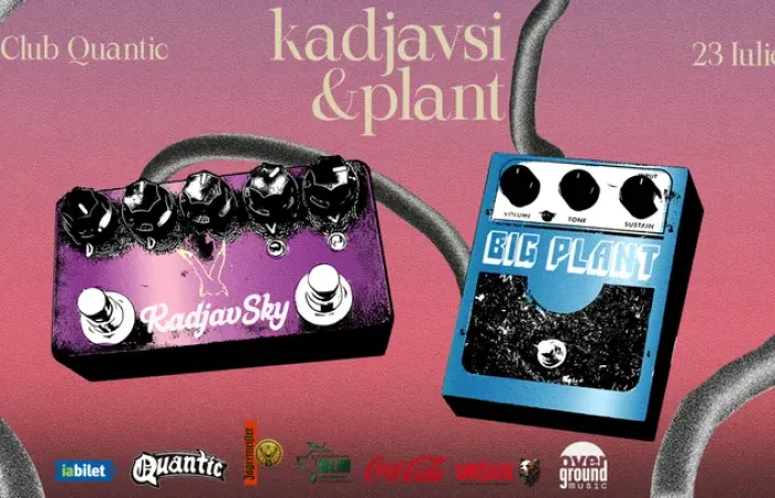 10-Concert-Kadjavsi---Plant
