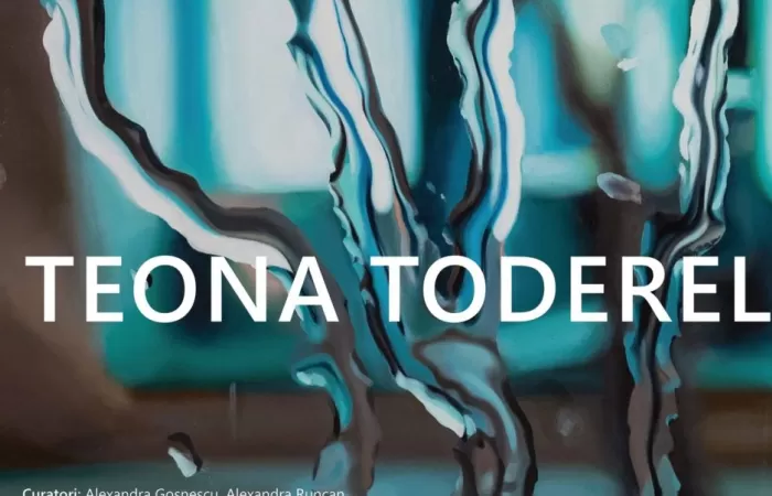 10-Expoziția--La-Strada--–-Teona-Toderel-